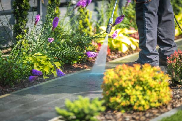 Best Winterizing Services  in Willoughby, OH